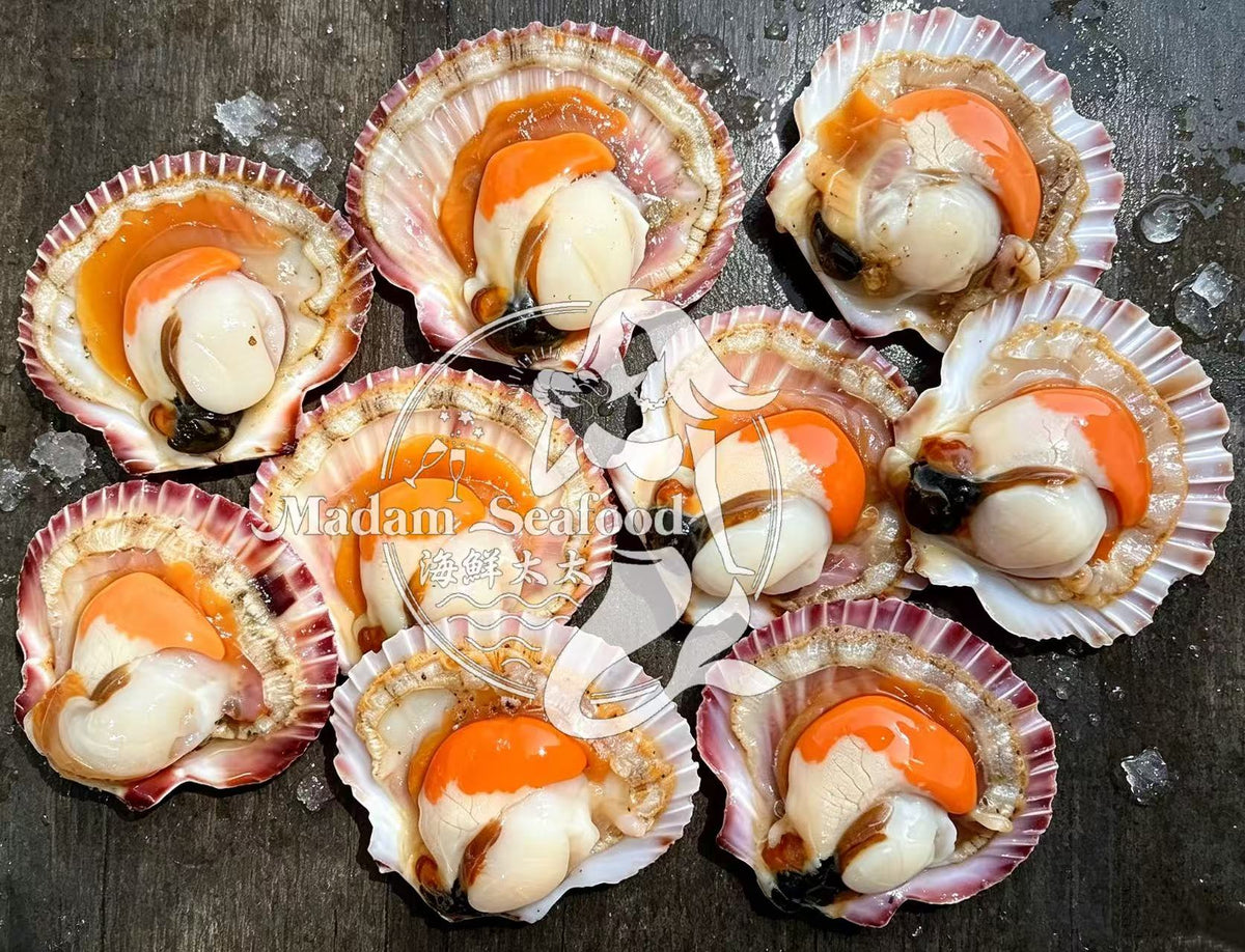 Fresh Queen Scallop (whole)