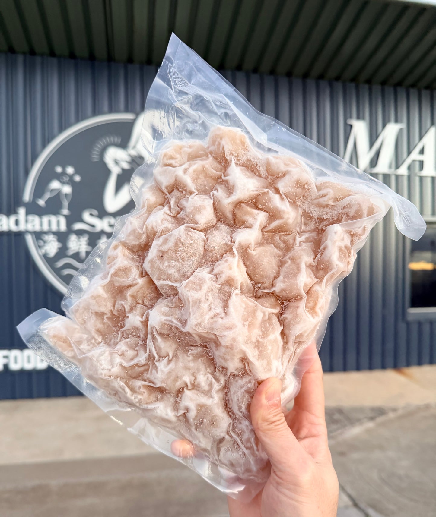 Frozen Squid Beaks