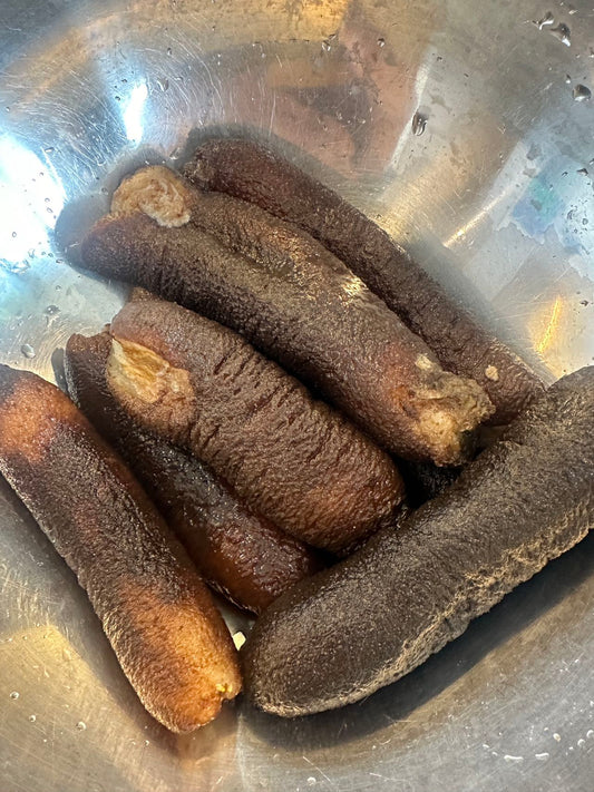 【20% OFF】Australian Sea Cucumber (frozen) 澳洲野生大烏參 (已泡发)