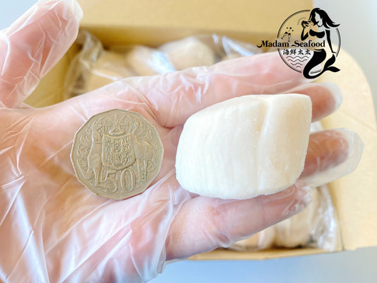Hokkaido 2S Scallop (MEAT) (frozen)