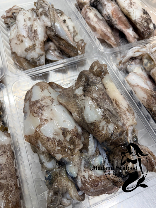 Fresh SA Squid (whole)(mixed size)