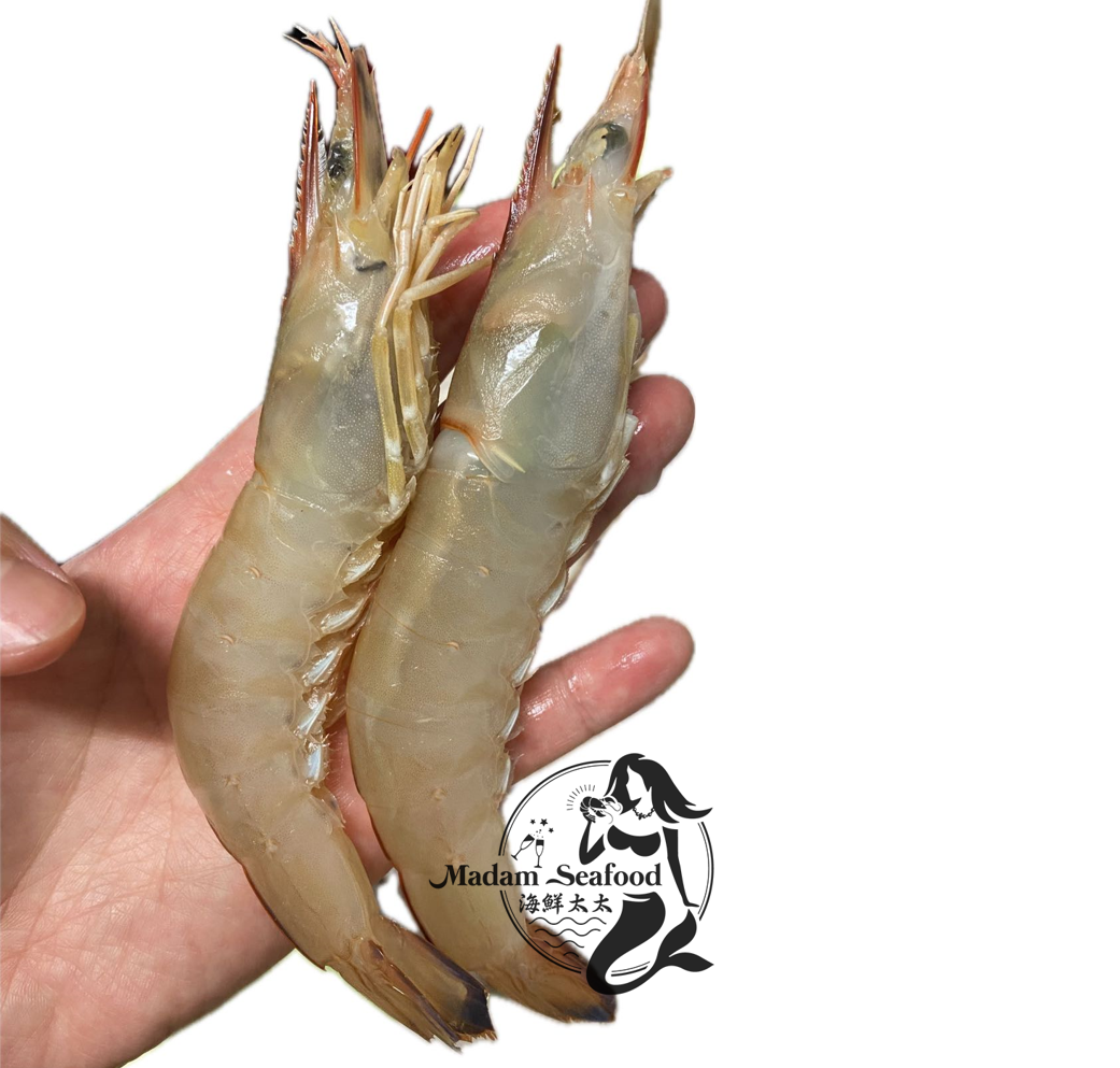 AU Wild Caught Endeavour Prawn (Medium) (Raw) (Frozen)