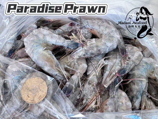 Cristal Blue Paradise Prawn Large (Raw) (frozen)