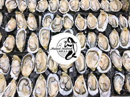 Fresh SA Pacific Oysters (Medium) (Open)