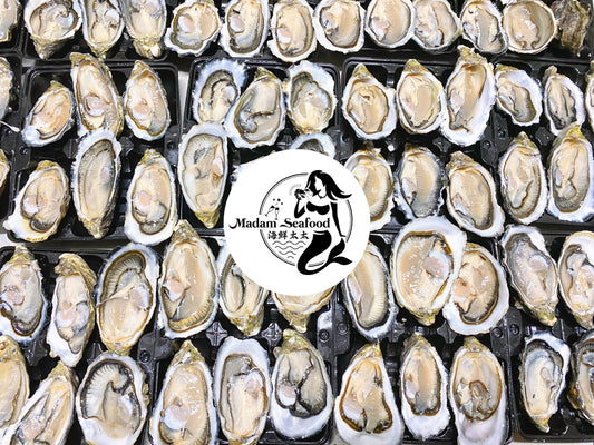 Fresh SA Pacific Oysters (Plate) (Open)