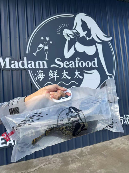 Live Great Barrier Reef Coral Trout