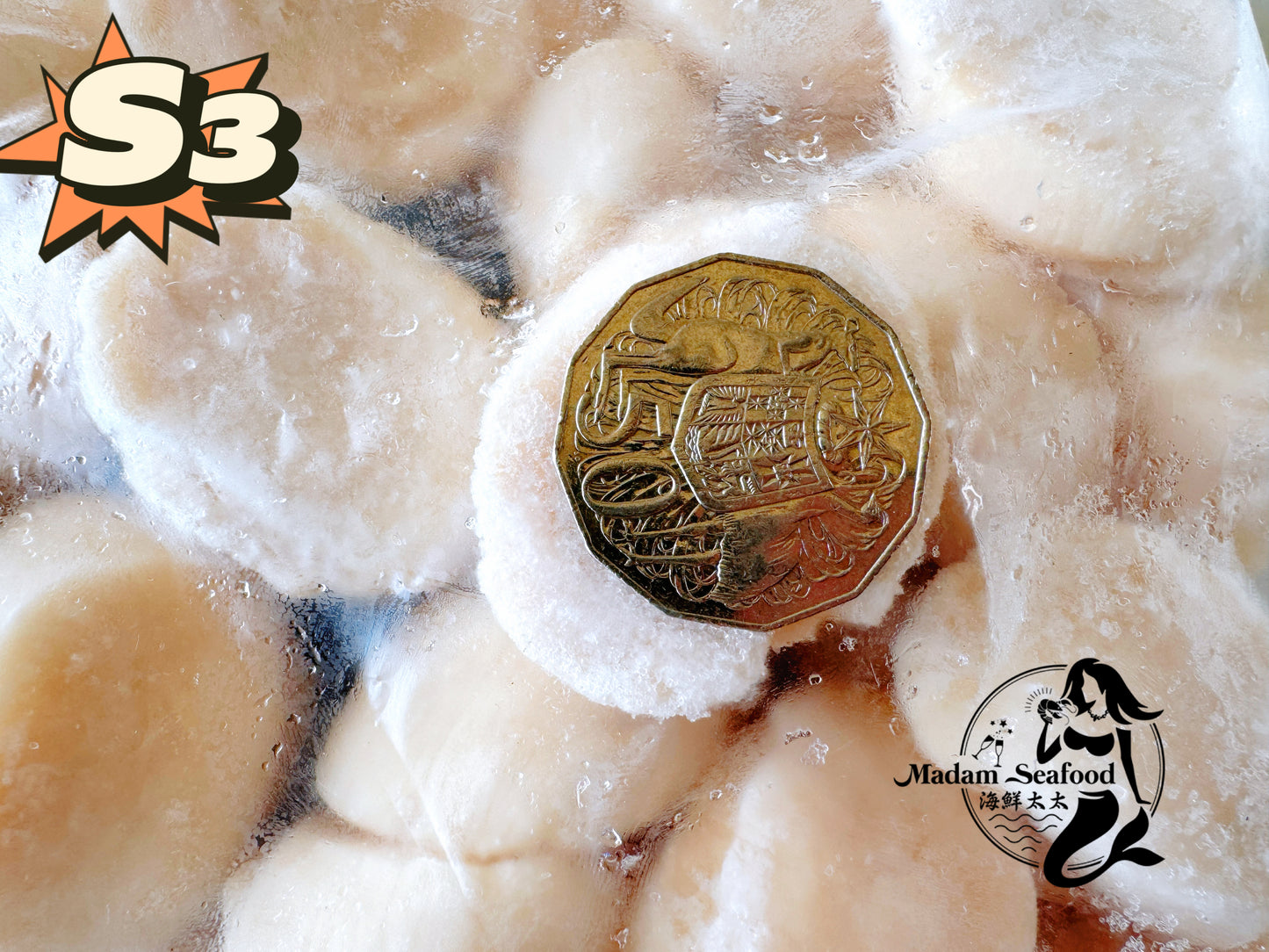 Hokkaido S3 Scallop (MEAT) (frozen)