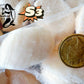 Hokkaido S3 Scallop (MEAT) (frozen)