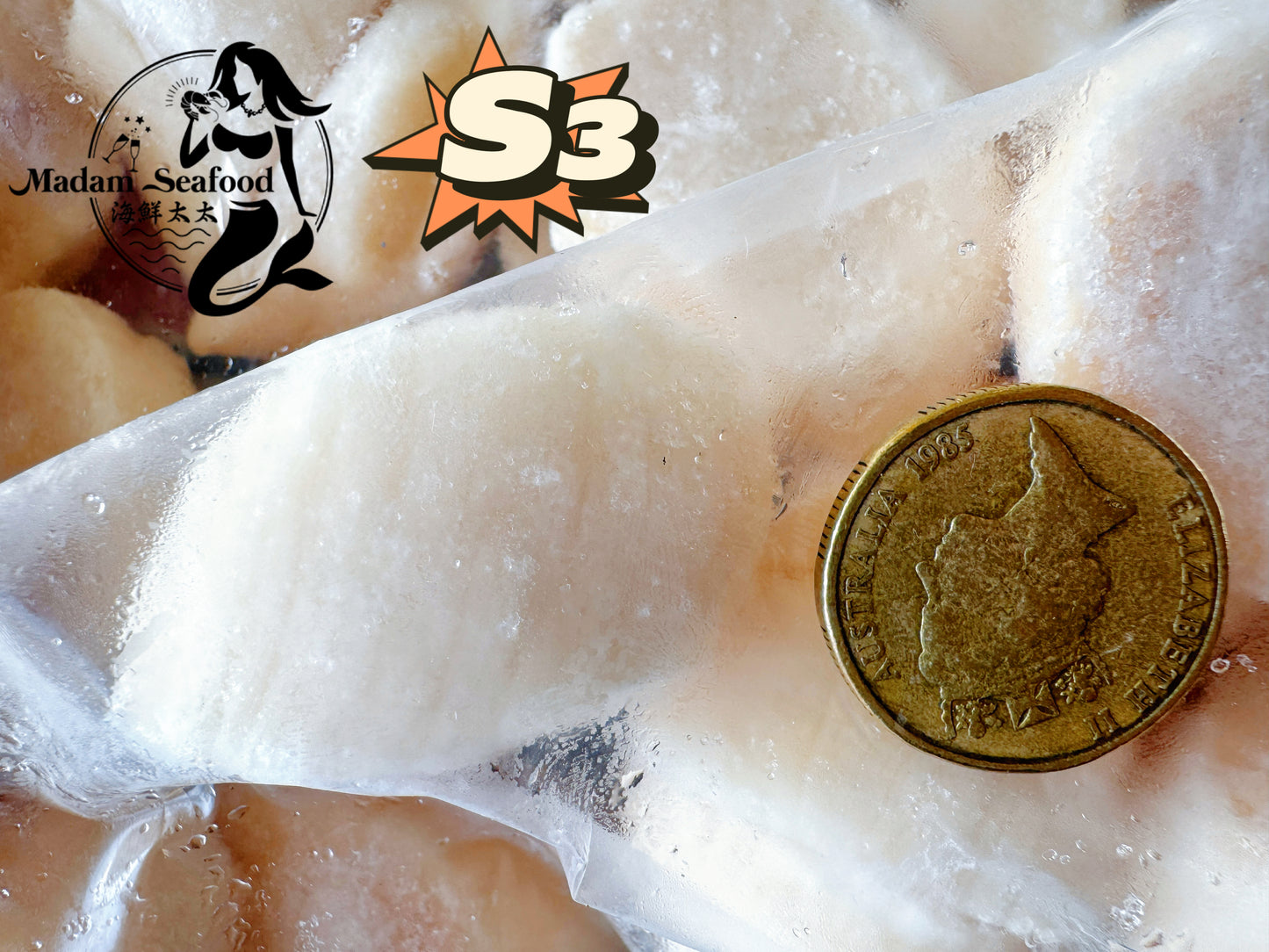 Hokkaido S3 Scallop (MEAT) (frozen)