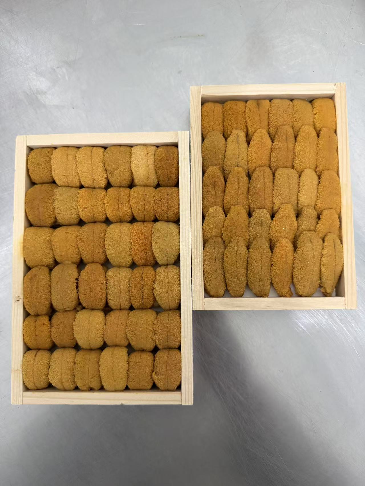 【Father's Day Special】Victorian Sea Urchin Short Spine Roe 10A (Sashimi Grade, Wooden Box)