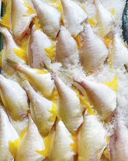 Wild Catch Fresh Ocean Jacket