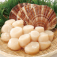 Hokkaido S3 Scallop (MEAT) (frozen)