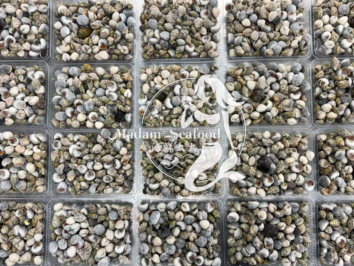 Mixed Sea Snails (Raw) (Frozen)