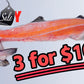 Fresh Atlantic Salmon off-cuts【MEGA SALE】