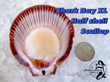 Wild Caught Half-Shell Scallop (XL) (frozen)