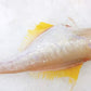 Wild Catch Fresh Ocean Jacket