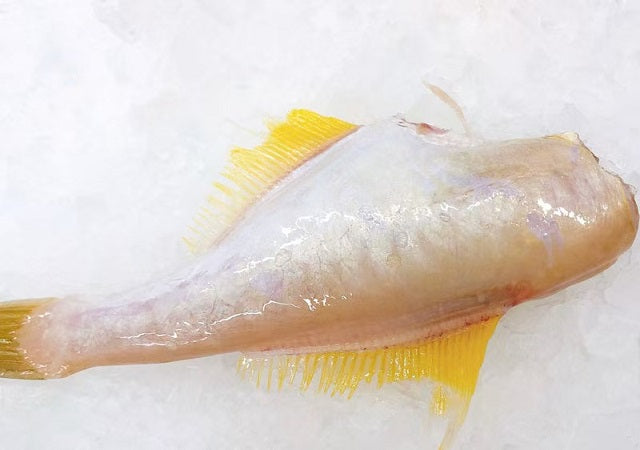Wild Catch Fresh Ocean Jacket