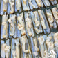 Ireland Giant Razors Clams (Frozen)