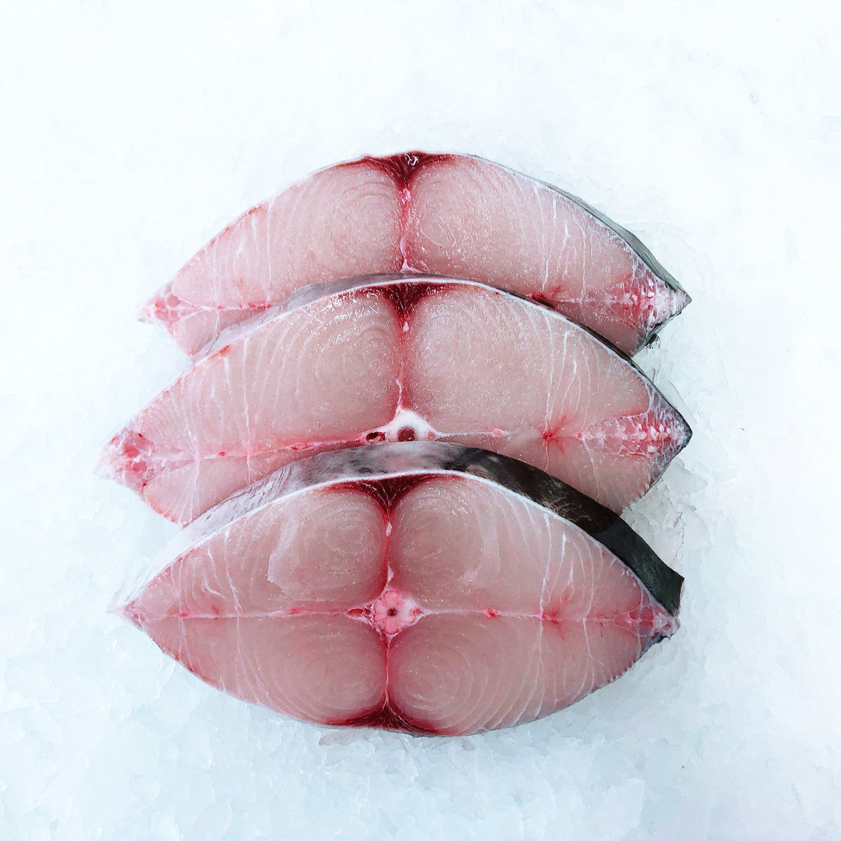 Fresh Spanish Mackerel Cutlet