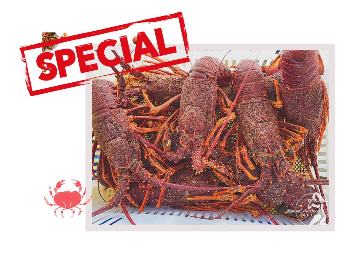 Weekly Specials