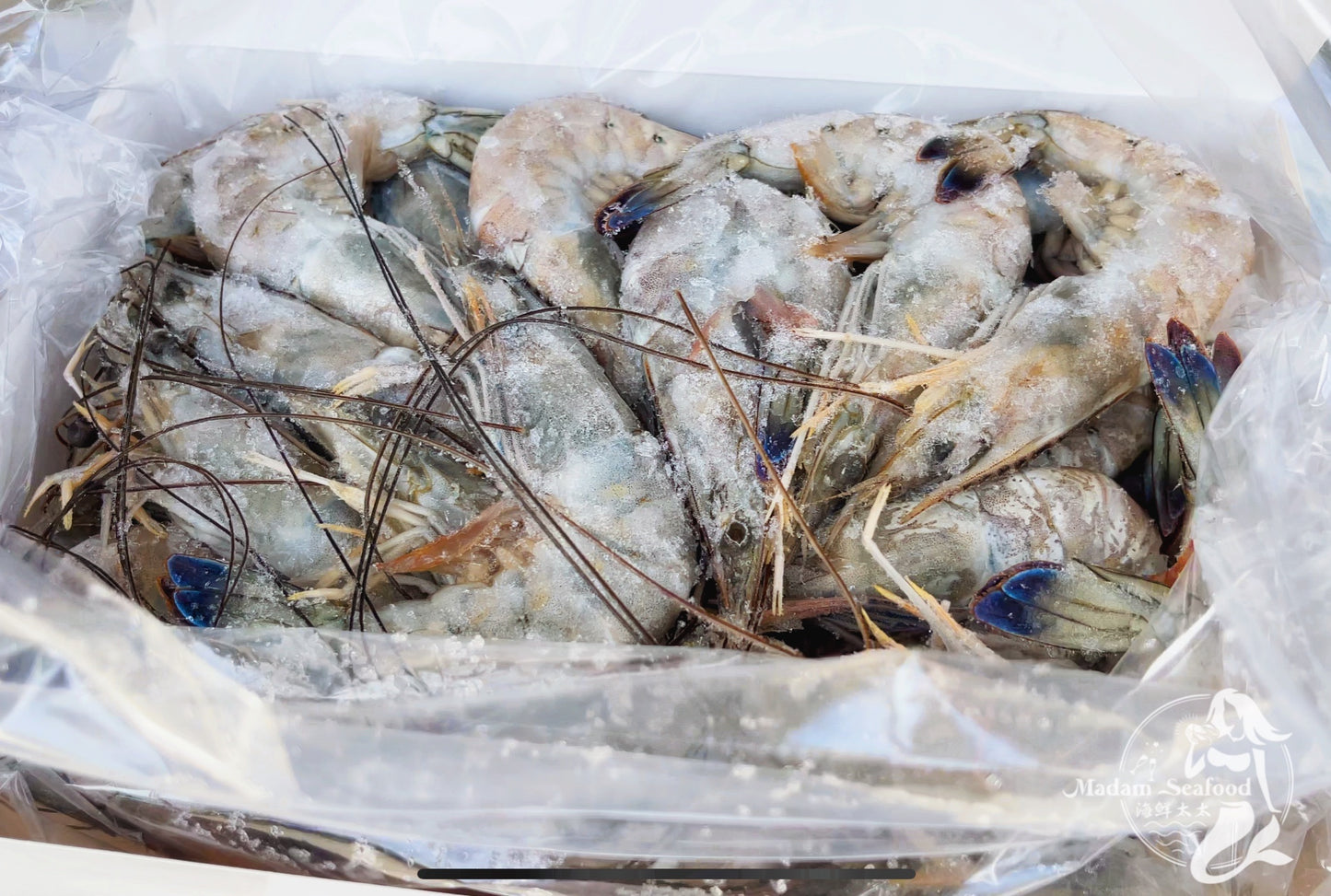 Cristal Blue Paradise Prawn Large (Raw) (frozen)