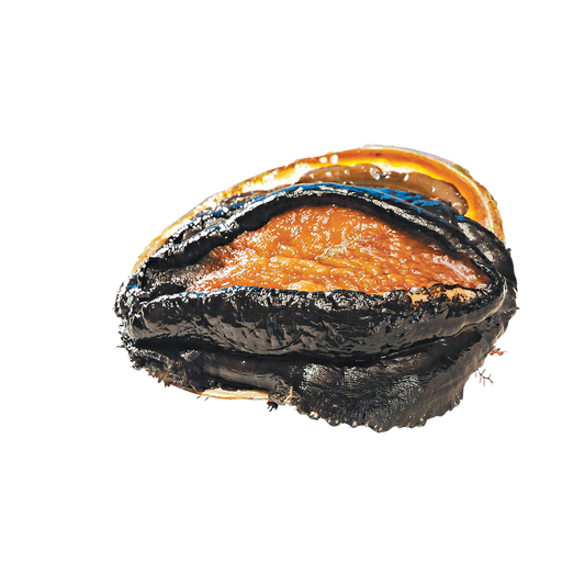 Wild Caught Blacklip Abalone